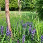 Heather Gelles Ebner - @gellesebner - Instagram