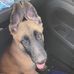 Heather Evrard - Facebook
