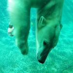 Heather Edgell - @hedgell357 - Instagram