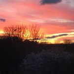 Heather Murgatroyd - @heather.edin.9 - Instagram