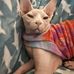 Heather Ehinger - Facebook
