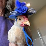 Heather Wegner - @heather.wegner.68 - Instagram