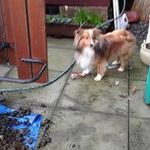 Heather Wegner - @heather.wegner.54 - Instagram