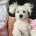 Heather Egolf - Facebook
