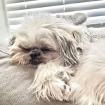 Heather Ehrhart - @heatherkcmo - Instagram