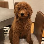 Heather Eisner - @heathercheneisner - Instagram