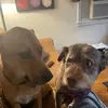heathereisner88 - @heathereisner88 - TikTok