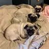heatherekelly - @heatherekelly - TikTok