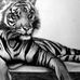 Heather Elsayed - Facebook