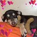Heather Engstrom - Facebook