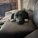 Heather Epps-Ellis - Facebook