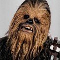 Chewy Lee - @heatheretheridge52 - Instagram