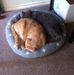 Heather Etheridge - Facebook