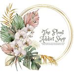 Heather Eubanks - @plantaddictshop - Instagram
