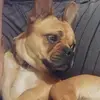 Heather_Featherstone - @heather_featherstone - TikTok
