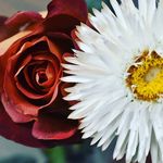 Heather Fehr Photography - @heather_fehr_photography - Instagram