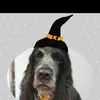 Heather Fenwick - @heather.fenwick8 - TikTok