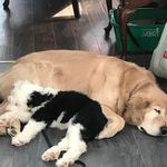 Heather Fermaniuk - @heatherfermaniuk - Instagram