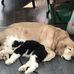 Heather Fermaniuk - Facebook
