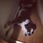 Heather Fielding - @heather.fielding.180 - Instagram