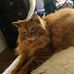 Heather Phillinger - Facebook