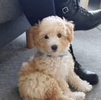 Heather Findlay - Facebook