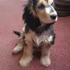 Heather Finlay - @heather.finlay4 - TikTok