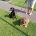 Heather Finlay - Facebook