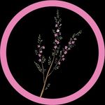 Heather Finlay - @heatherfinlaywellness - Instagram