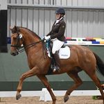 🦄Heather_Finlay🏴󠁧󠁢󠁥󠁮󠁧󠁿 - @heatherfdressage - Instagram