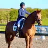 heather_finlay_dressage - @heather_finlay_dressage - TikTok