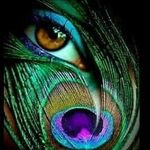 Heather Finley - @divineroses1111 - Instagram