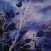 Heather Firestone - Facebook