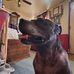Heather Flickinger - Facebook