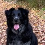 Heather Foran - @hrforan71 - Instagram
