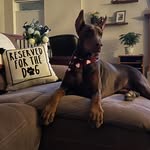Heather Freund - @heather_marie_001 - Instagram