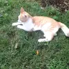 heather.friedrich81 - @gavinthebest1961 - TikTok