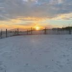 Heather Allen Furman - @heather_furman - Instagram