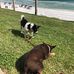 Heather Garringer - Facebook