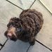 Heather Gaughan - Facebook