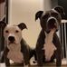 Heather Geiger - Facebook