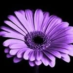 Heathergeller - @heathergeller1996 - Instagram