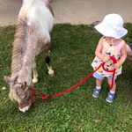 Heather Germain - @hgmain - Instagram