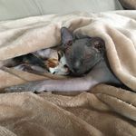 Heather Germain - @germainh11 - Instagram