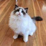 heather getz - @getz7956 - Instagram