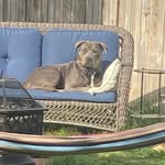 Heather Gladhart - @heathergladhart - Instagram