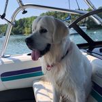Heather Goetz Ruth - @heathergruth - Instagram
