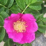 Heather Goodall - @goodall936 - Instagram