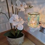 Heather Jayne Goodall - @heathersscentsyyourhome - Instagram