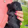 Heather Gragg - @nails2911 - TikTok